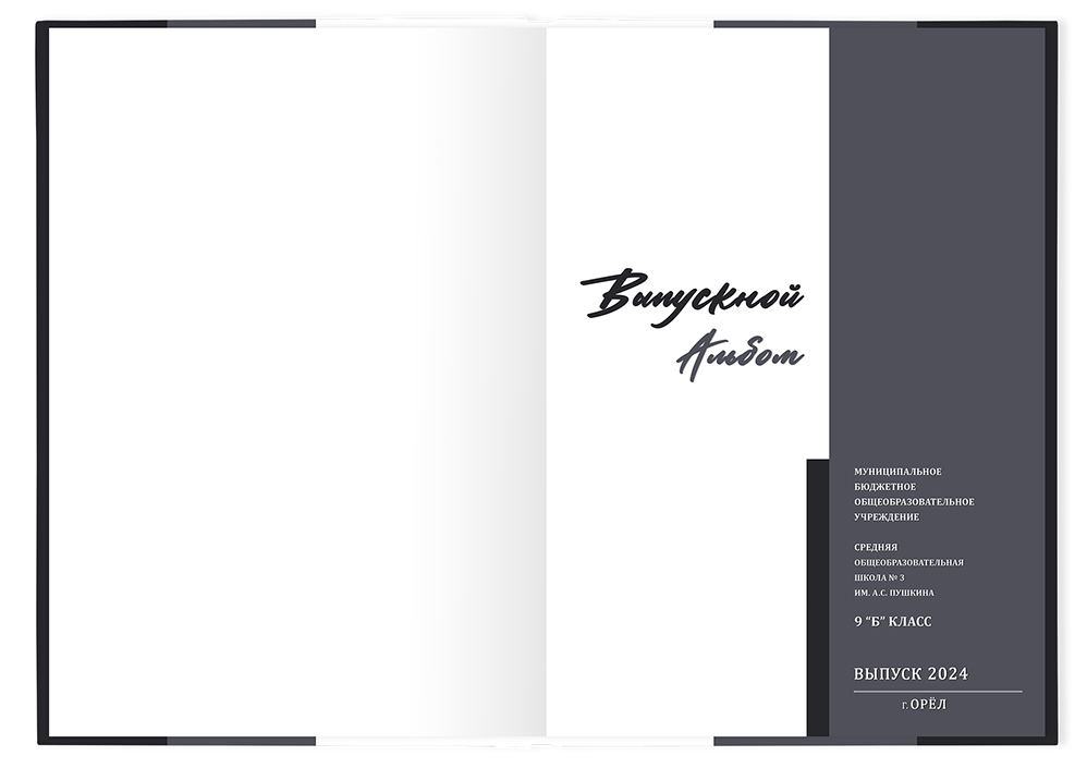Выпускной альбом для старшеклассников. Постраничная фотокнига "Наш выпуск".  Альбом для выпускников 9-11-х классов.